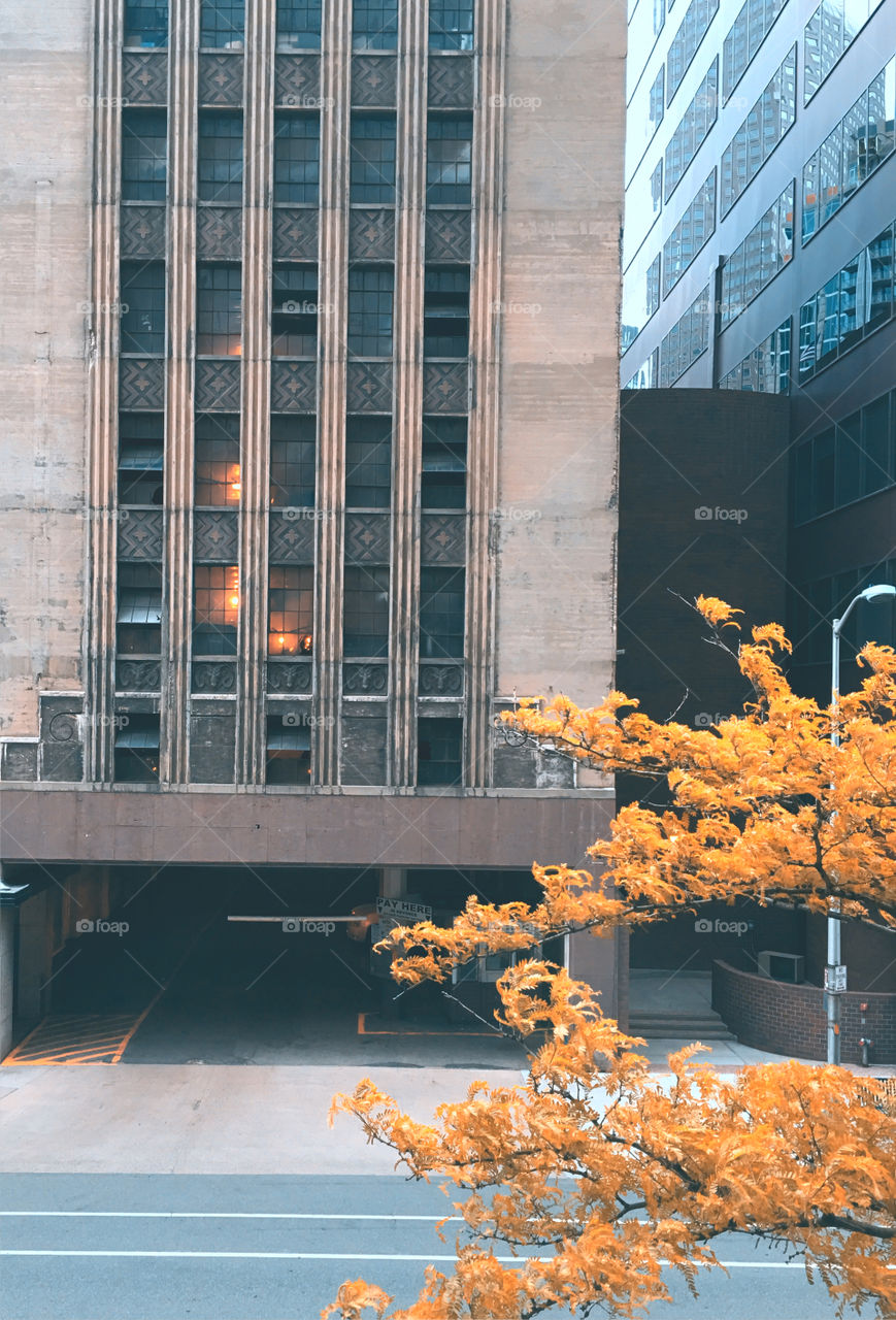 One of those days in the city.