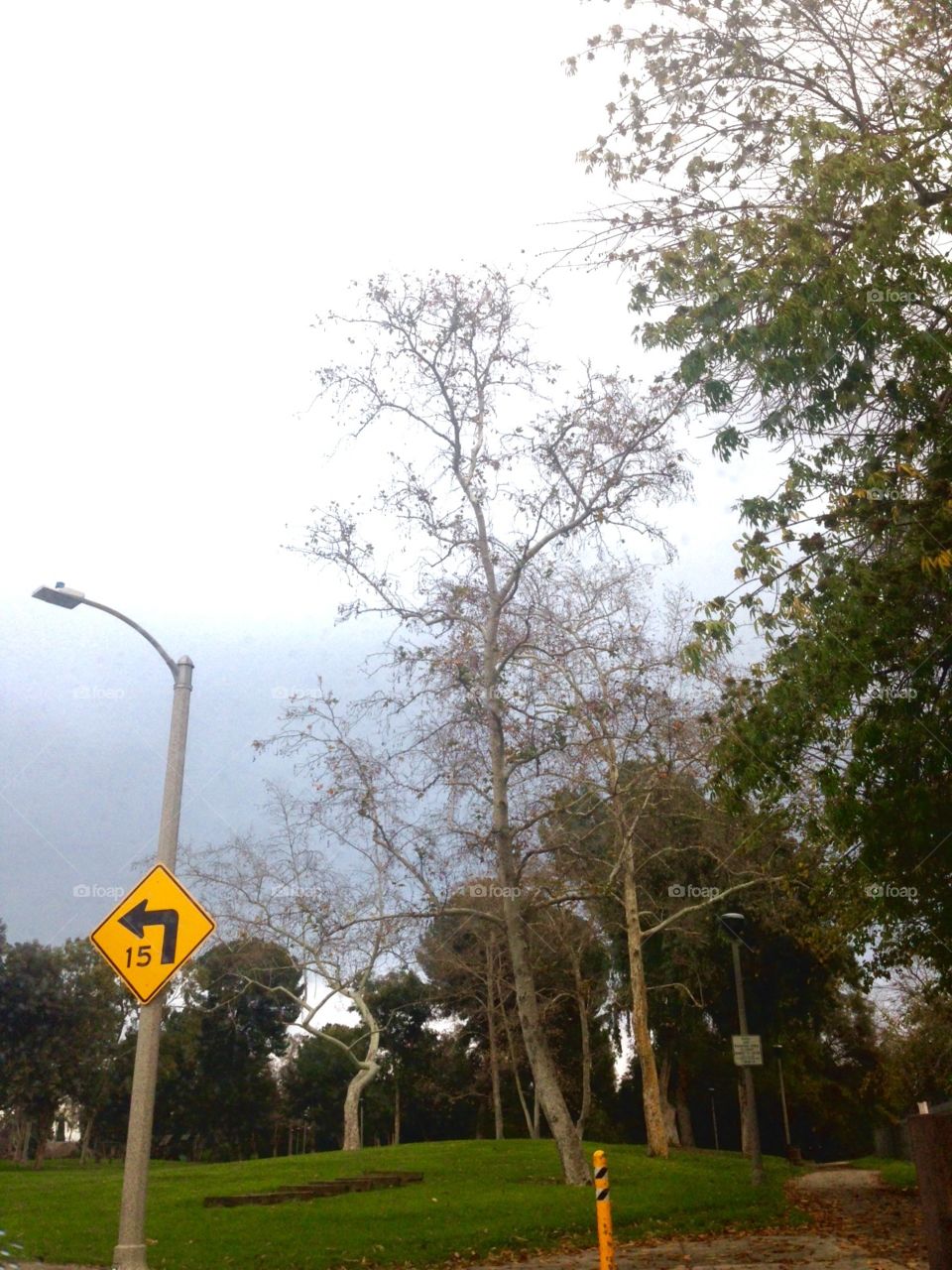 Park Place

Published by:
HappyBrownMonkey 