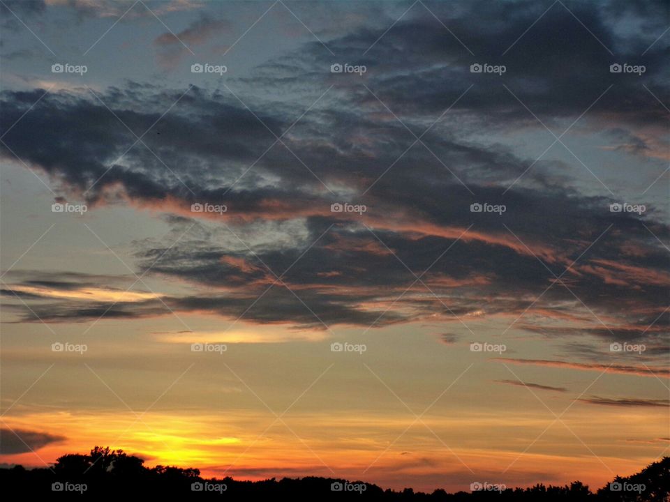 steel blues and reds