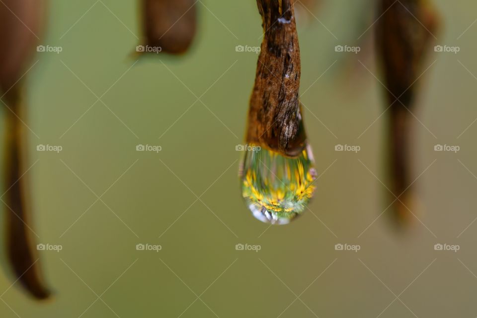 Raindrop reflection