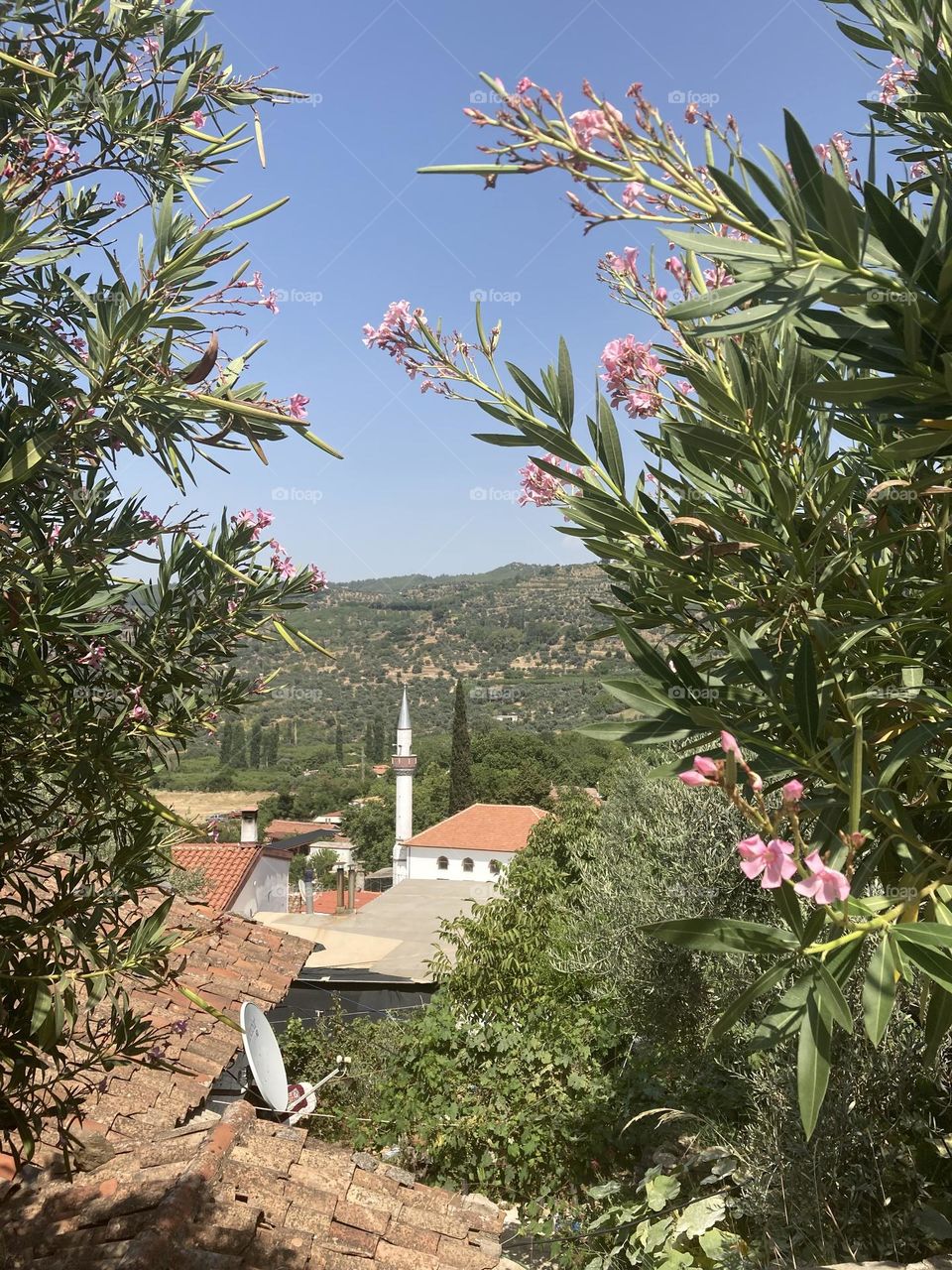 Greek village in Turkey. Blue sky and tall palm trees. Sunsets and sunny days. Summertime in Kusadasi. Vacation travel in Turkey . Summer view. Sunny day during vacation. Hidden gems and secret places.