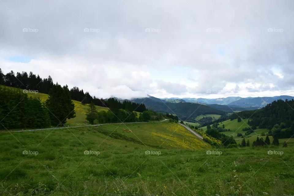 Berglandschaft