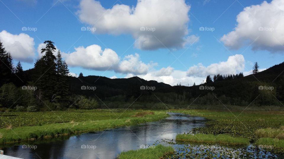 Tahkenitch Lake