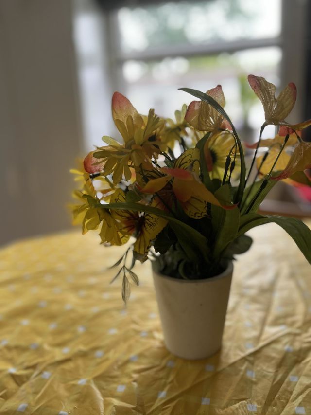 Beautiful yellow flowers 