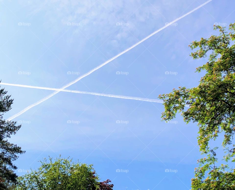 Two plane trails intersect in the high blue sky between green trees