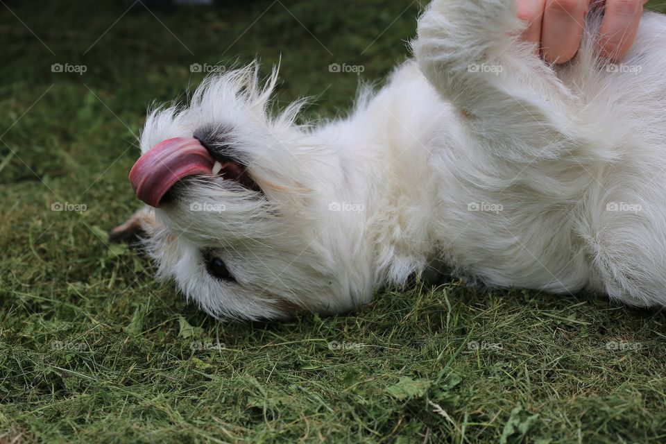 Enjoy with my friend