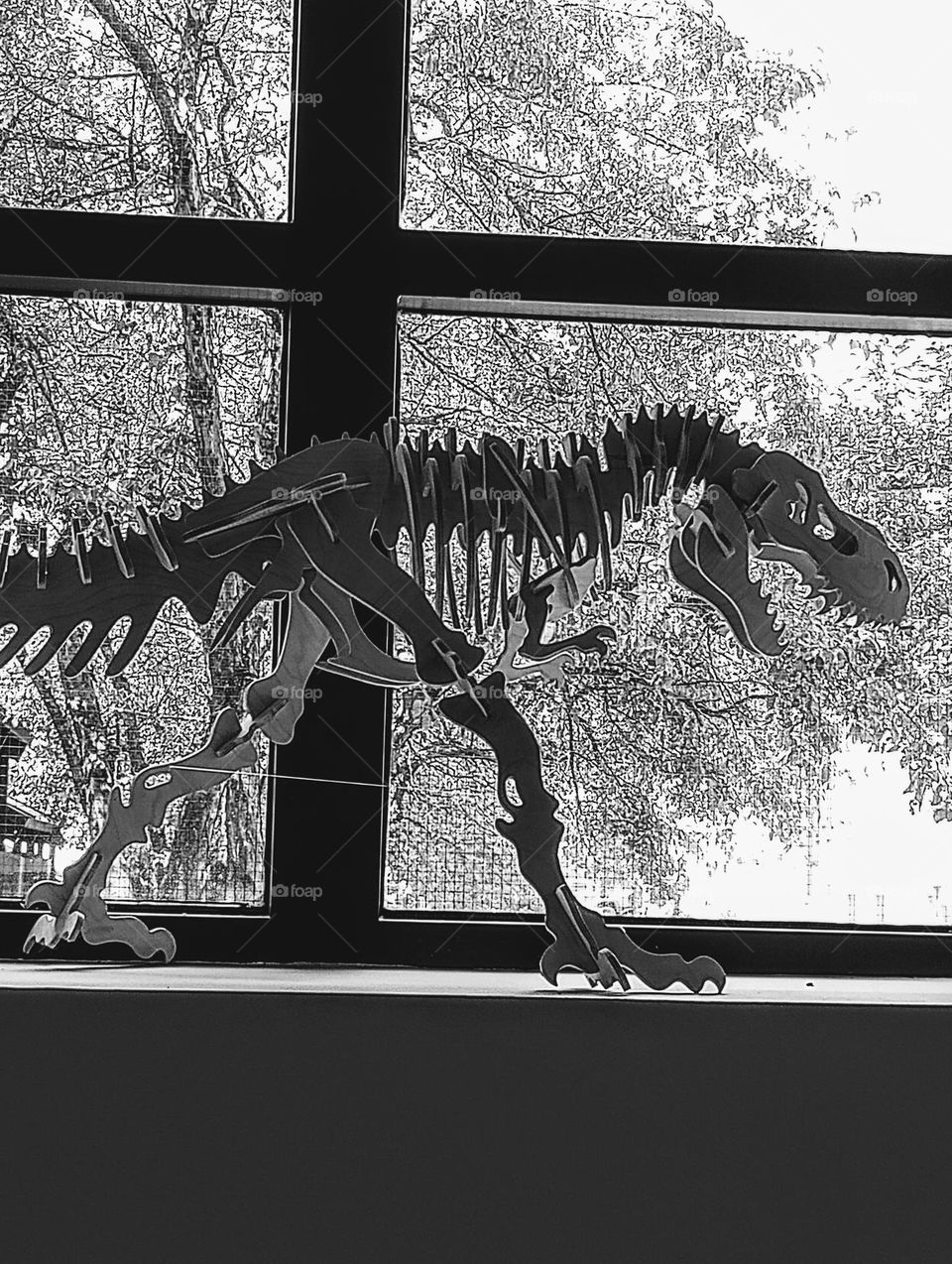 Black and White Dinosaur