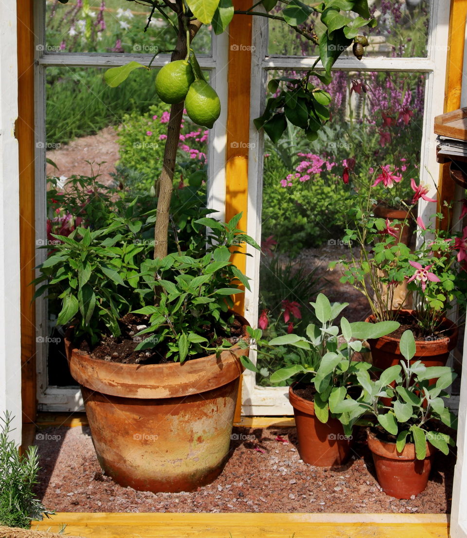 Gardening house.