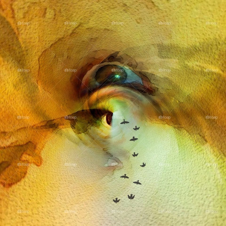 I have an Eye on you