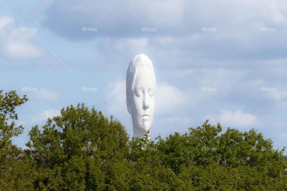 Large white female head popping up from the woods, turns out to be a sculpture in an exhibition 