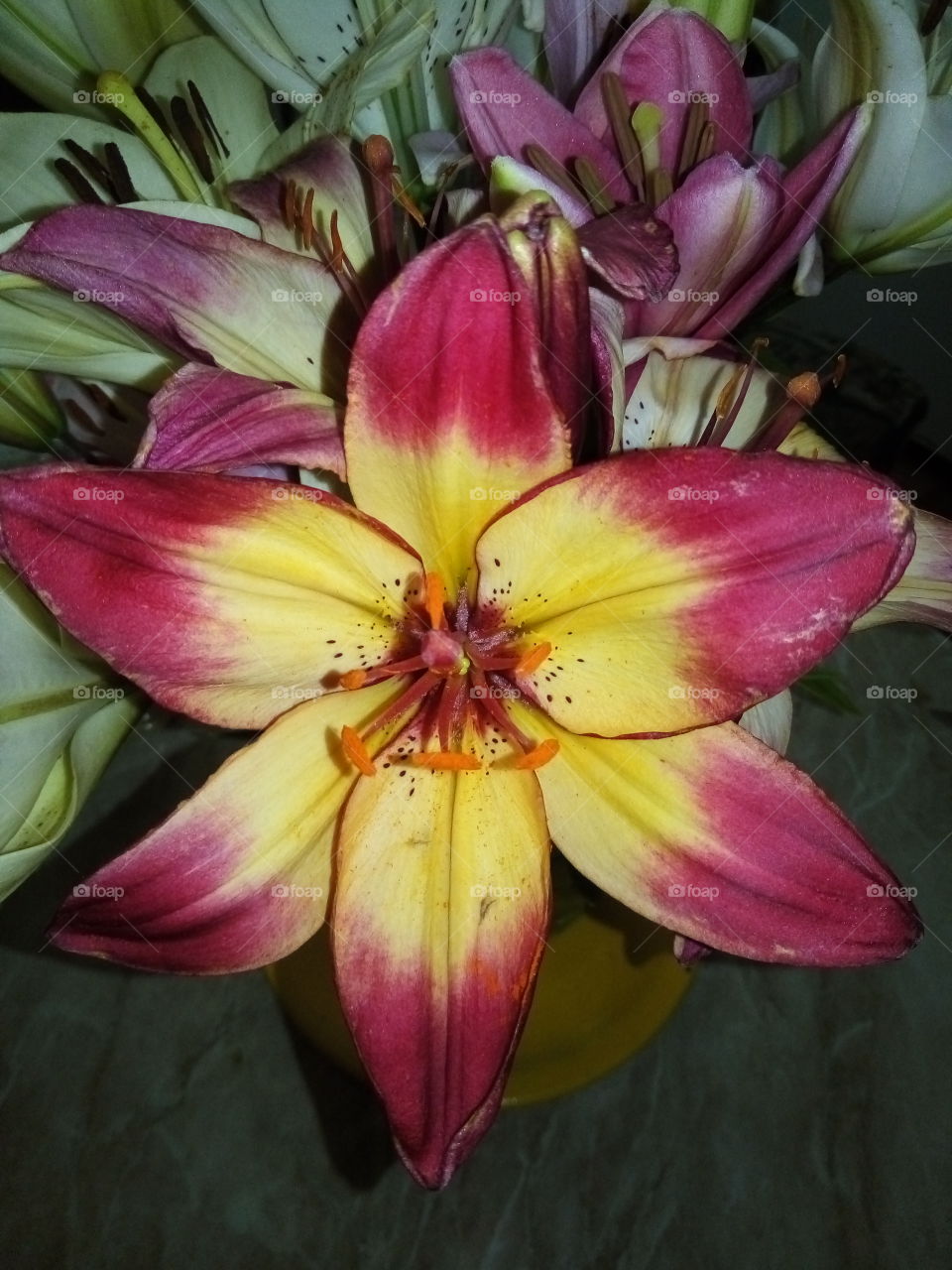 флора.цветы.лилия.красота.обои.