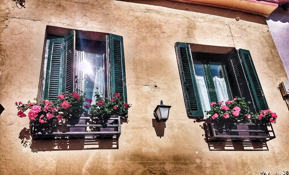 Walking on Athens' streets - old windows- vintage!