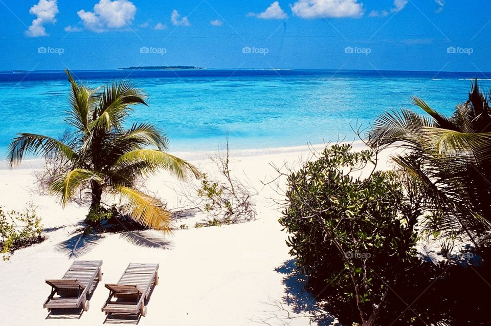 Idyllic tropical beach, Maldives