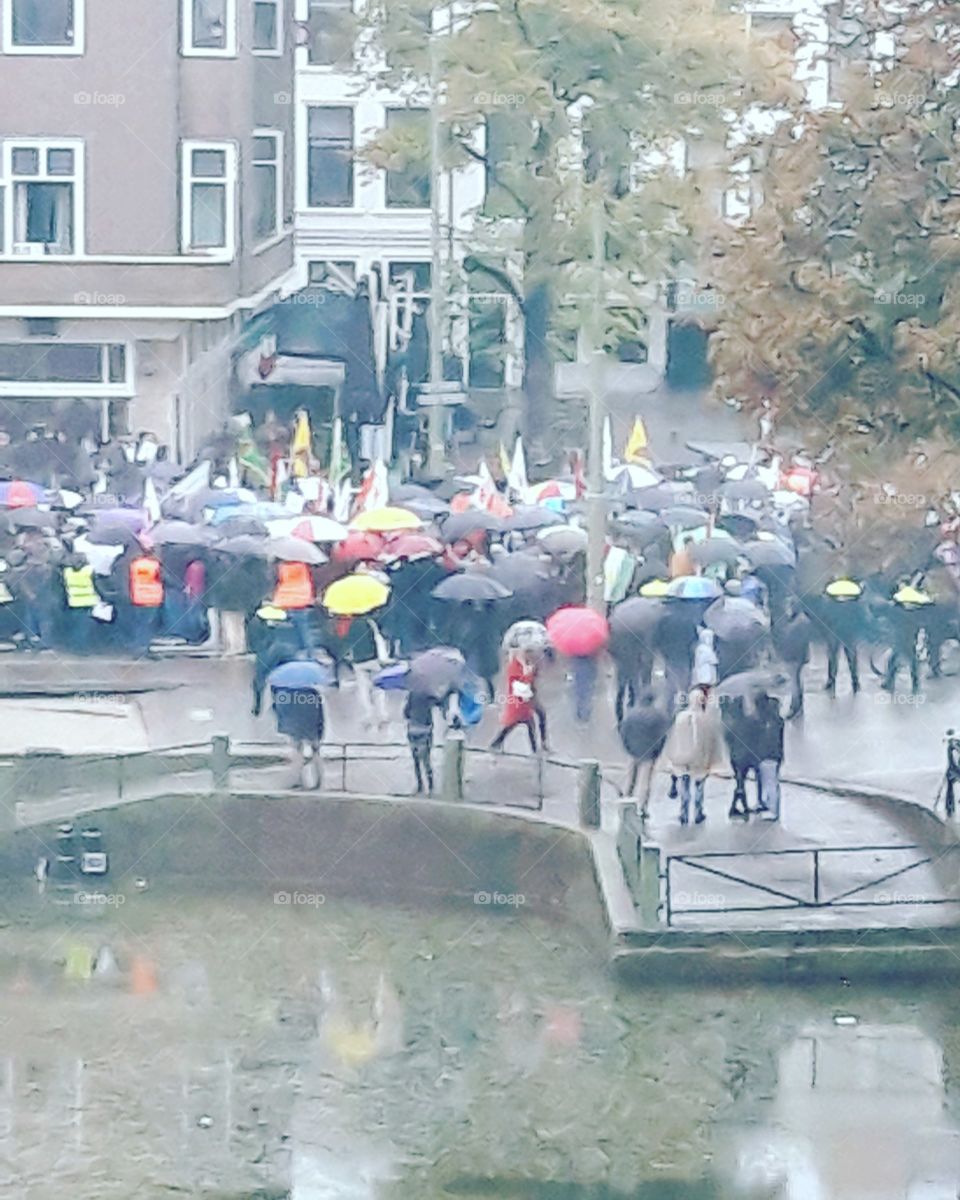 demonstration in the Hague