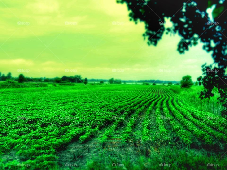 Cycling in Varennes Québec 