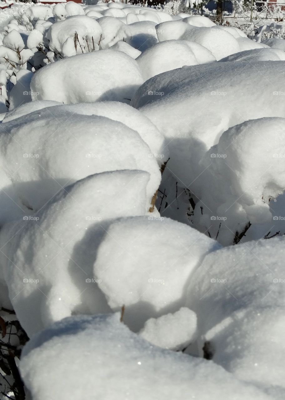 snow mounds