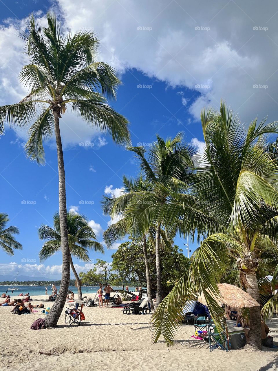 French West Indies beach 