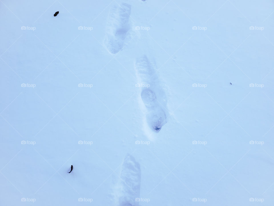 Footsteps in the snow at sunrise