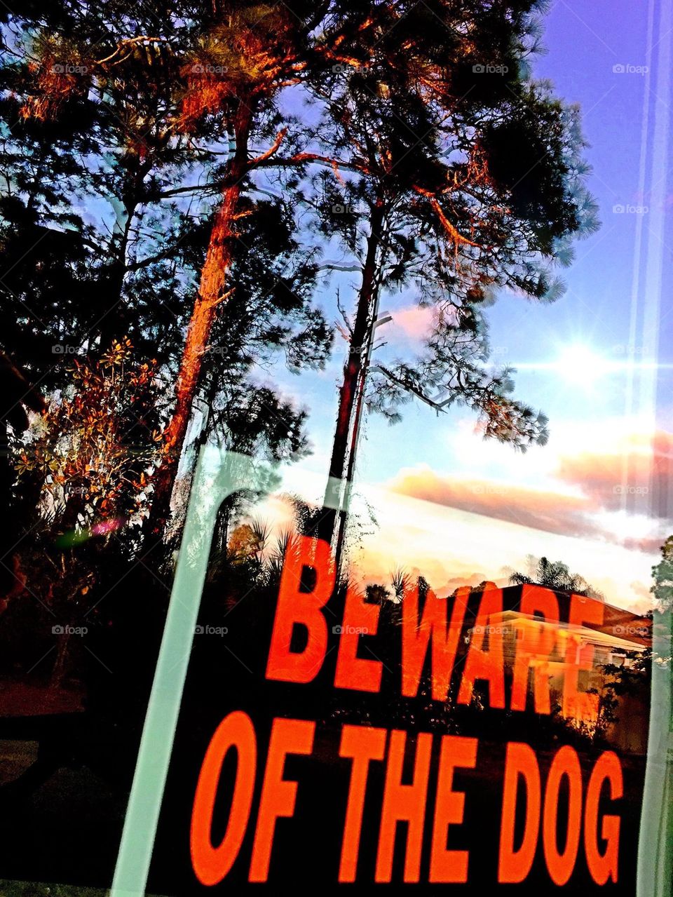 Reflections in the window 