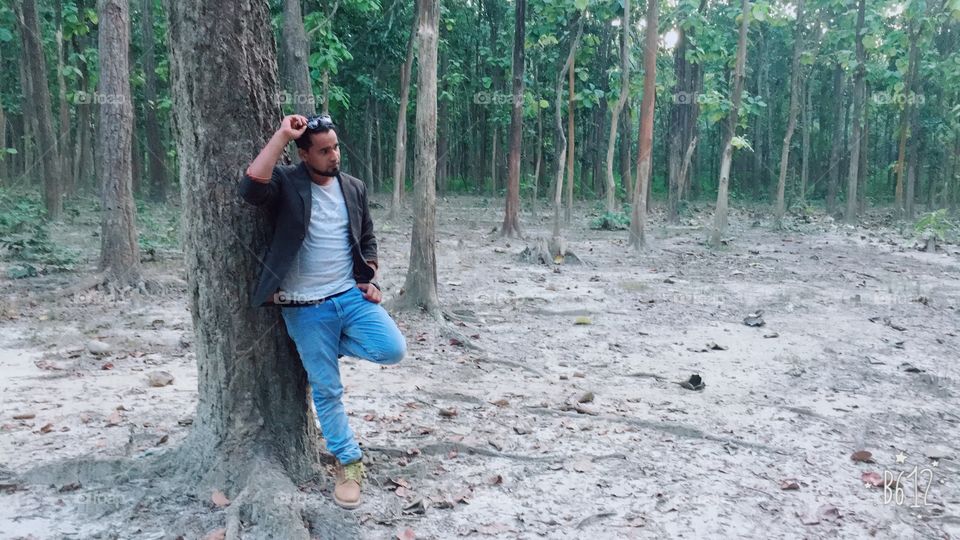 Wood, Tree, Nature, Outdoors, Park