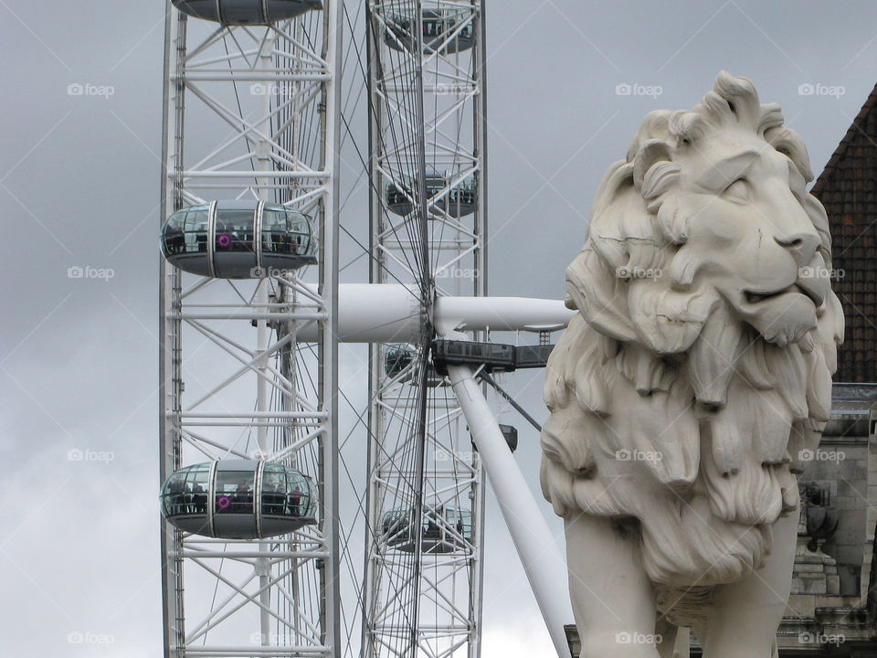 London Eye Lion