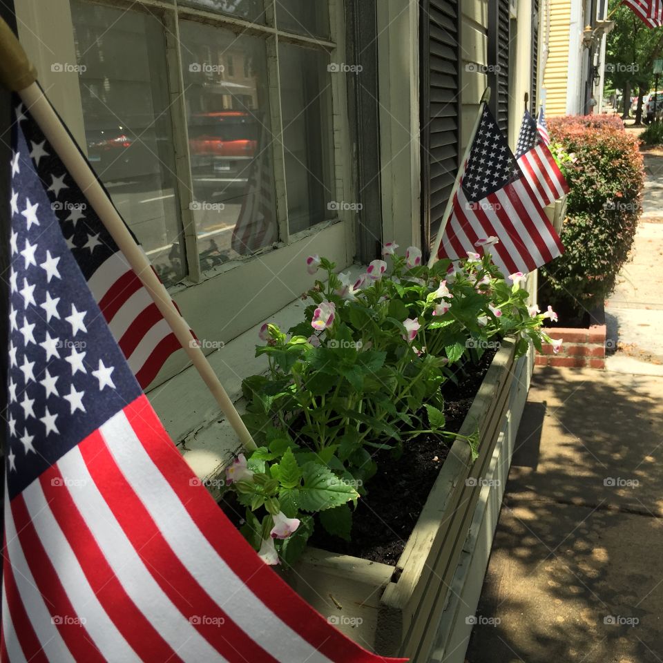 Flower boxes US flags