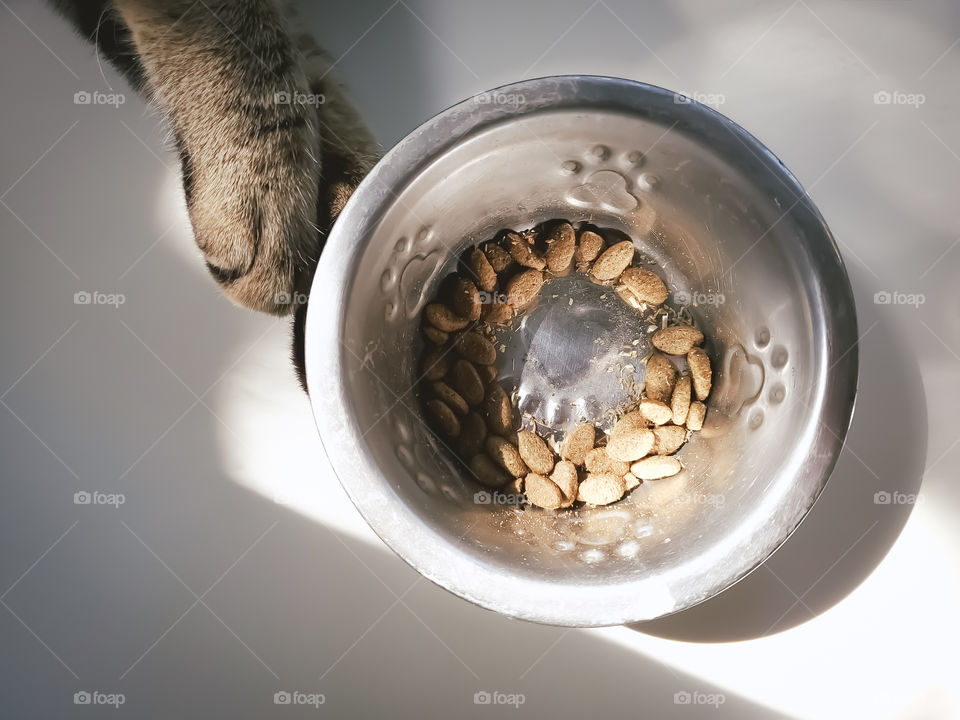 A tabby cat reaching for his stainless steel food bowl located near a window at sunset. Sunlight peers through and illuminates the bowl with a heart in the center, while also creating lovely shadows.