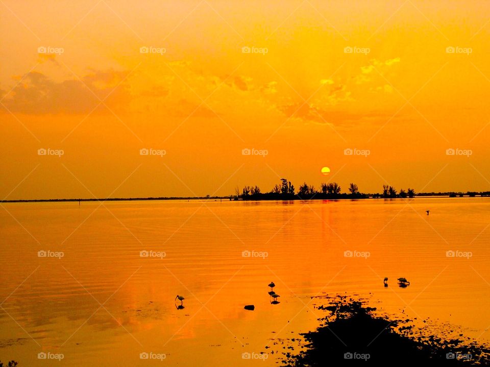 Beautiful view at sunset