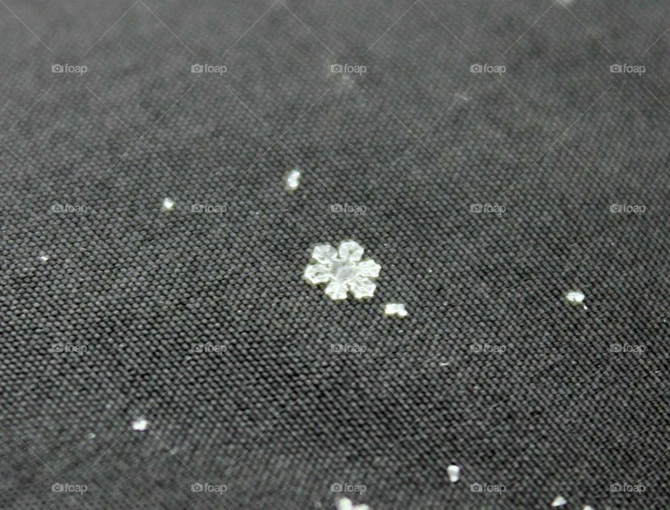 Snowflake. I am so proud of this photo; it landed on my coat and then I used a bit of editing to zoom into it more ❄️♥️