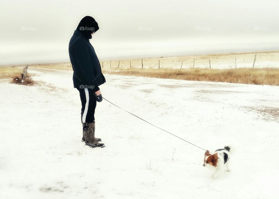 Man walking his Papillion dog in the snow along a dirt road with a fence