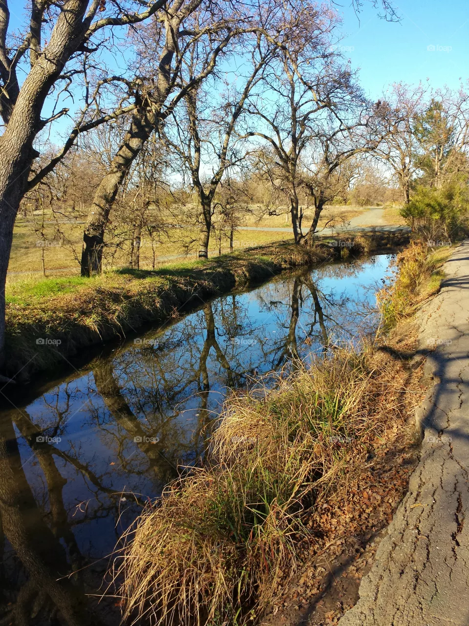 reflection