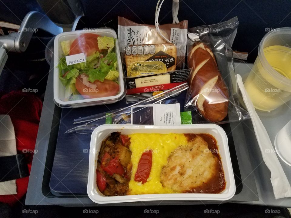 Delta International Flight Airplane Food Meal