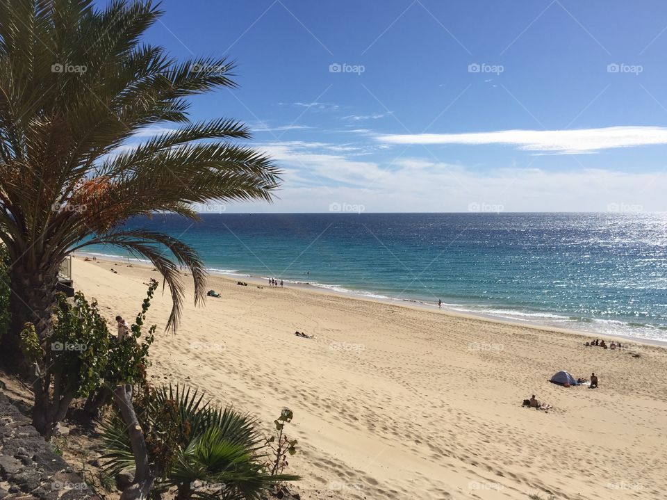 Canary Islands beach in Spain 