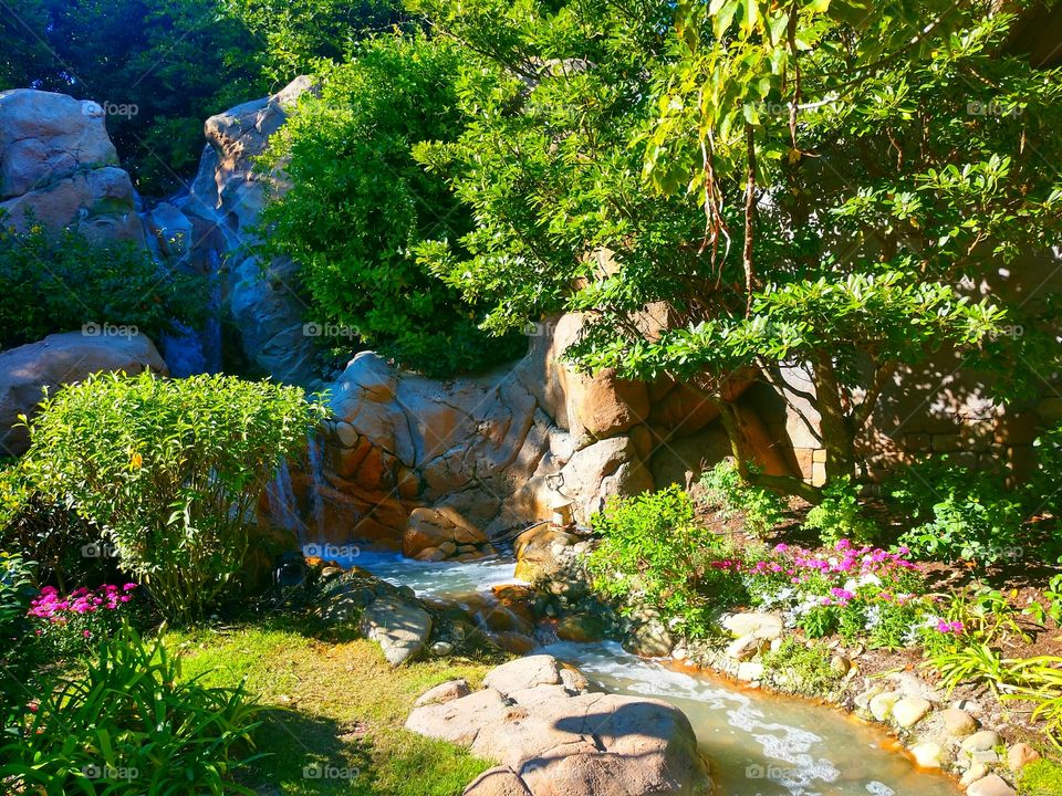 I took this at Disney world