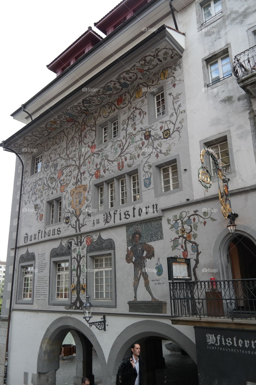 A garden web on the walls.