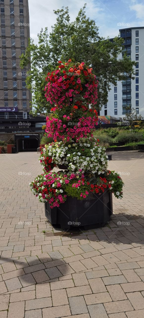 jardín en una maceta