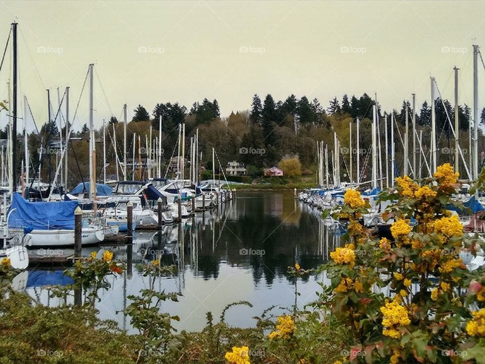 Boats on the Olympia Dock