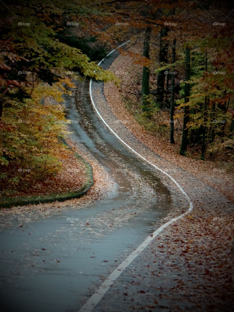 Northern Michigan 