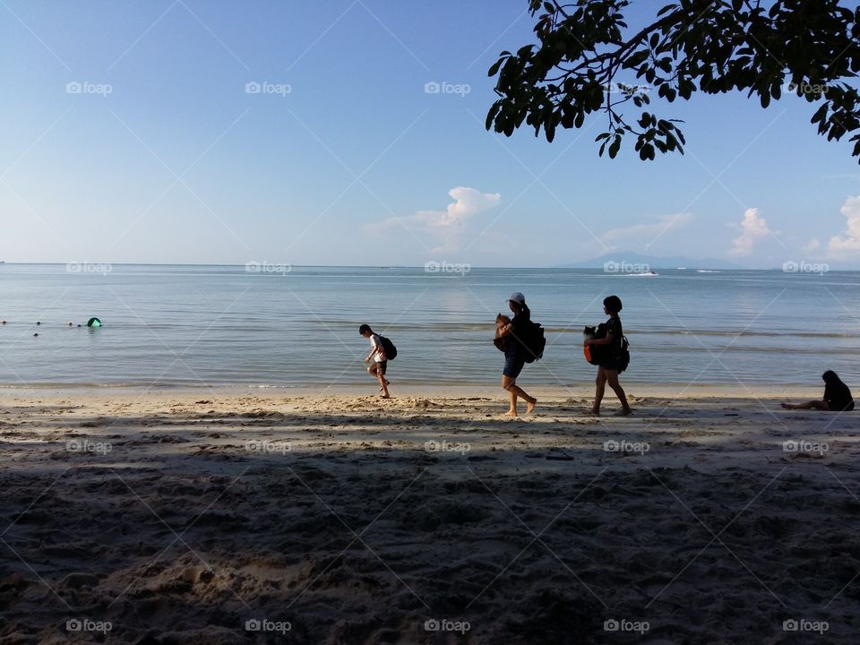 monkey beach. monkey beach at teluk bahang penang