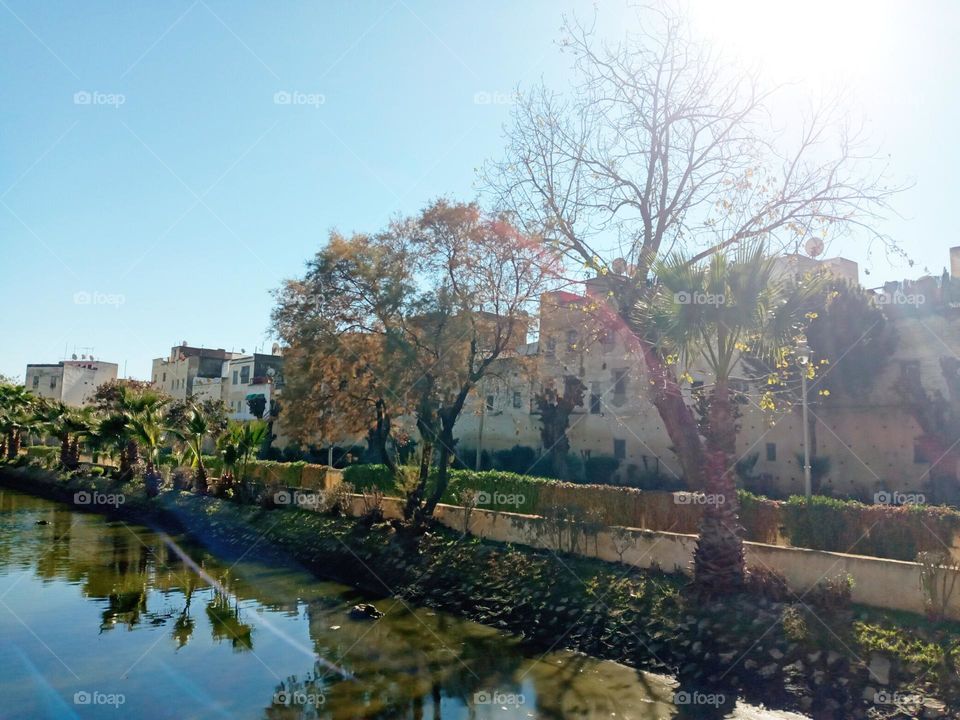 population between the nature