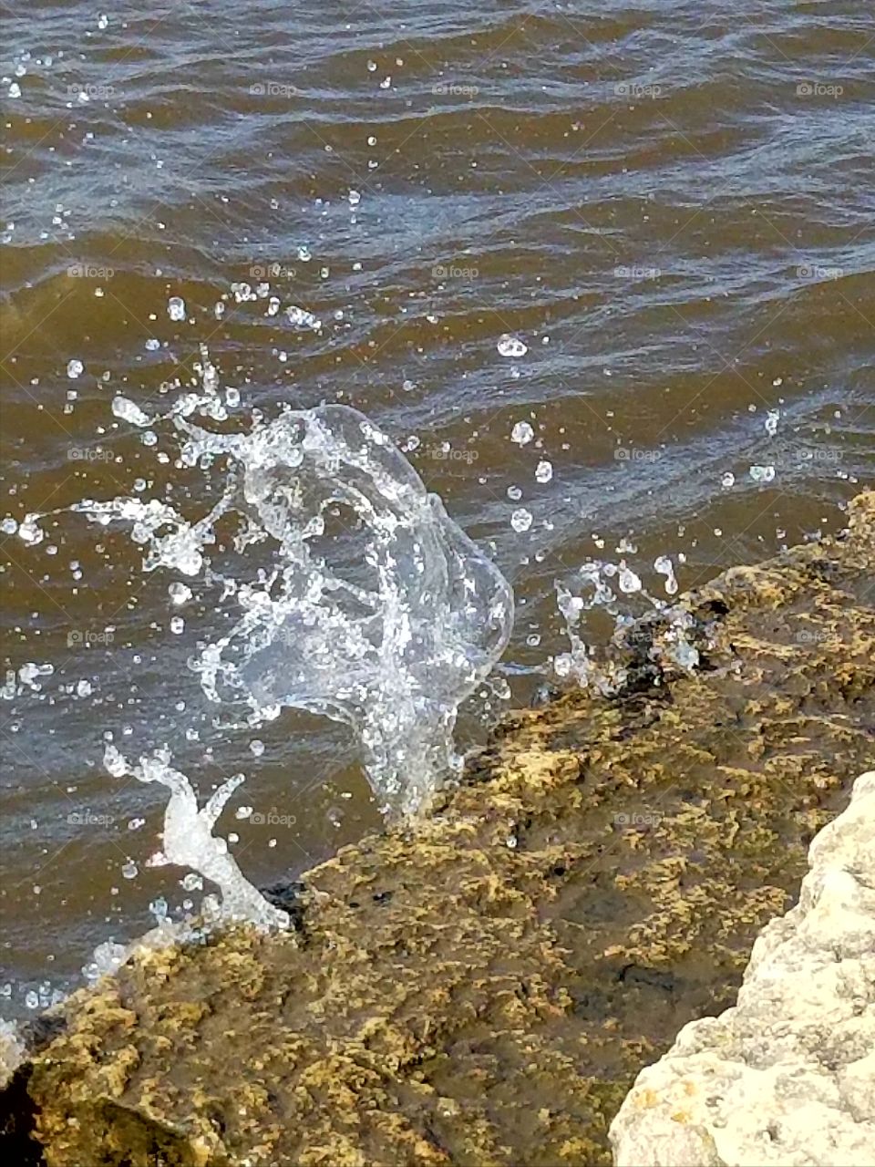 splashing on the banks of the Rock River