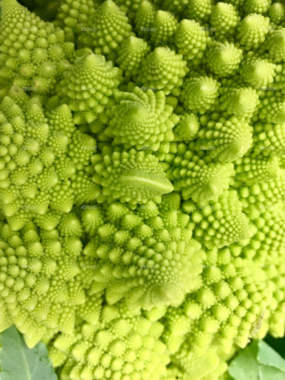 Green brocoli 