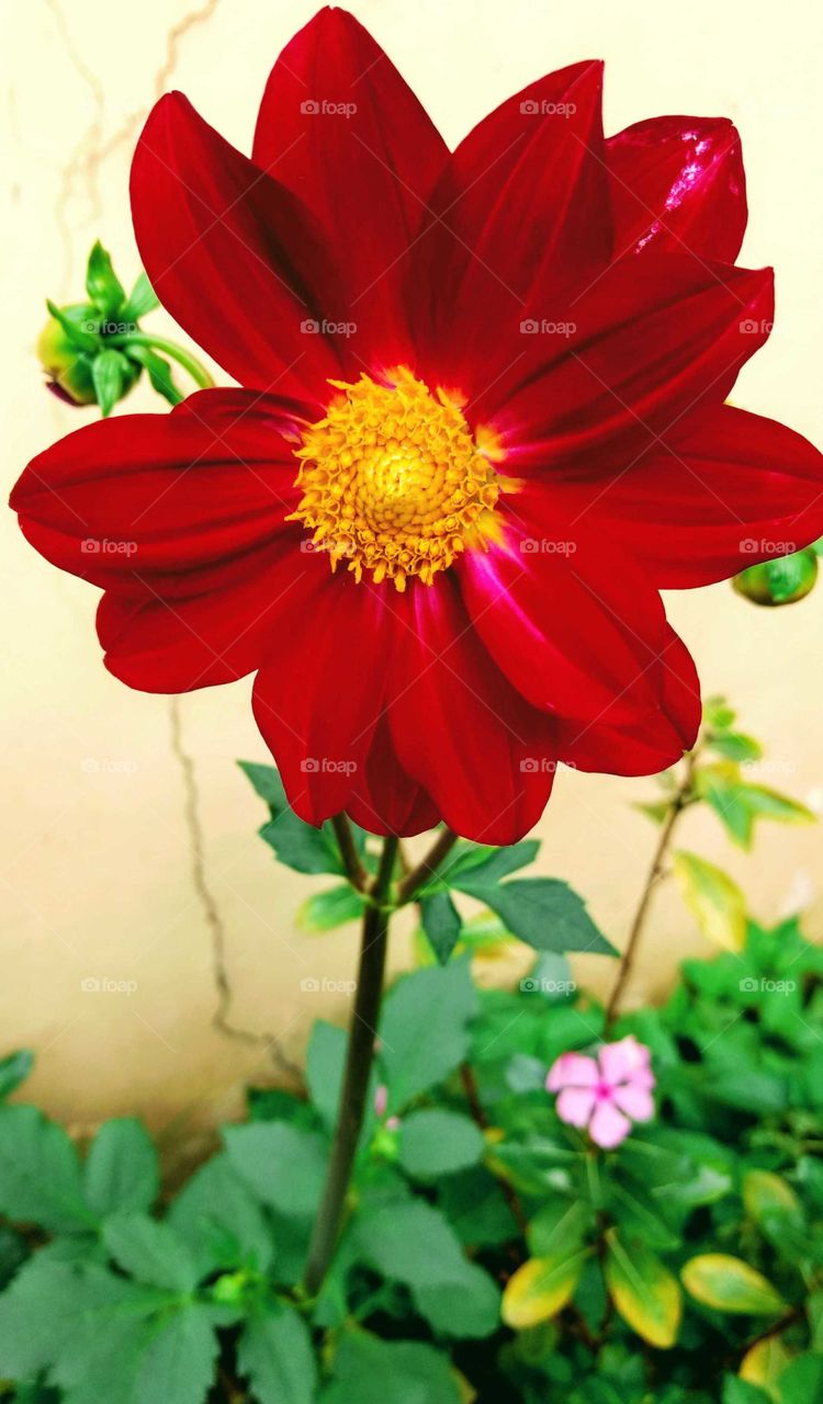 Have a nice day all foapers