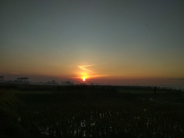 Gambar Pemandangan Matahari Di Pagi Hari