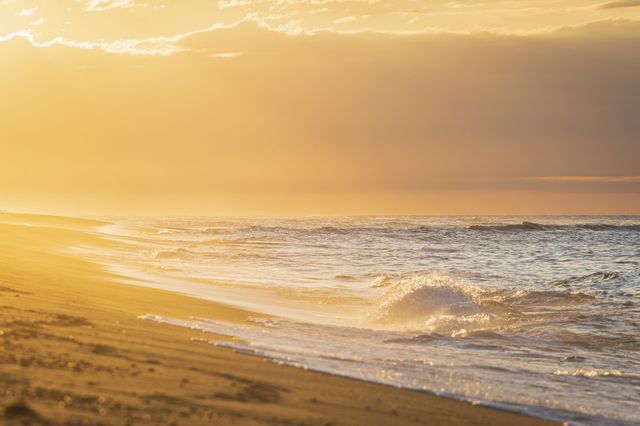 summer by the ocean