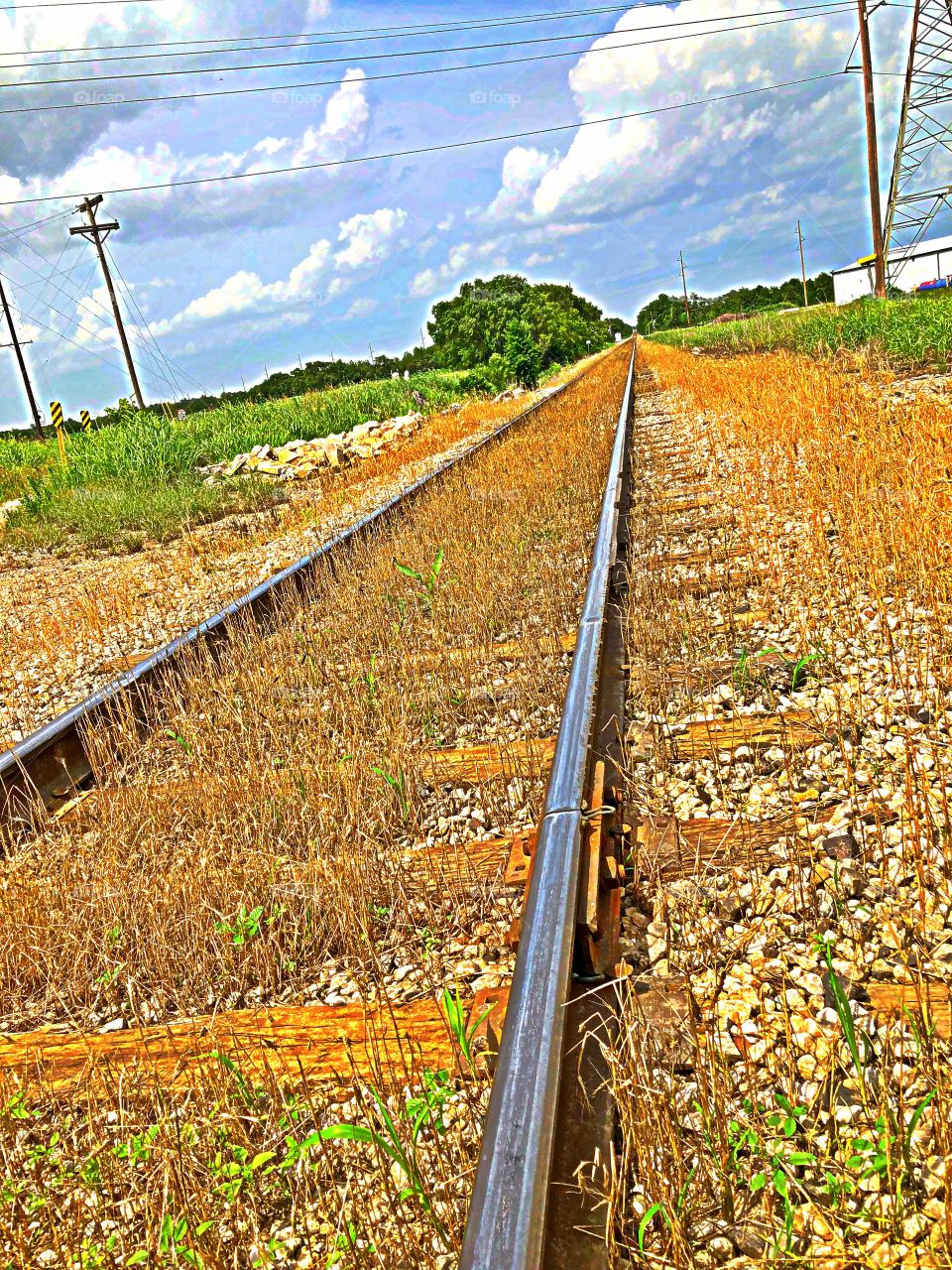 Near Garvey grain elevator