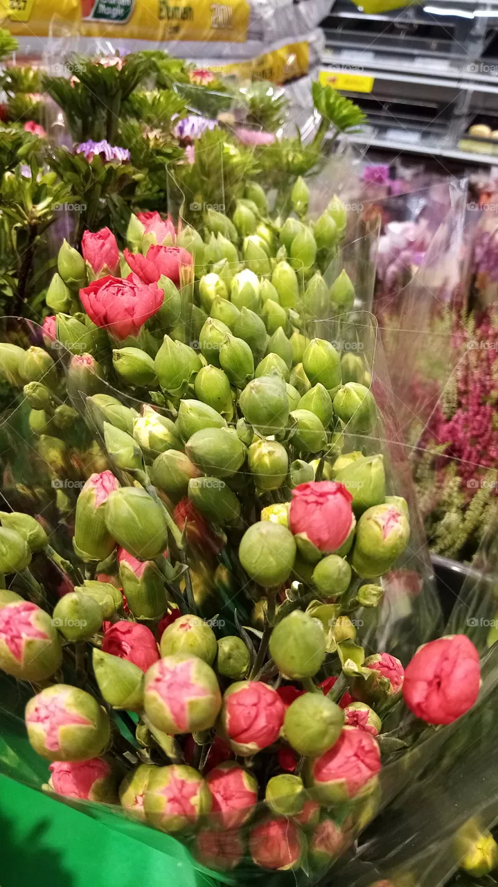 Blumen
