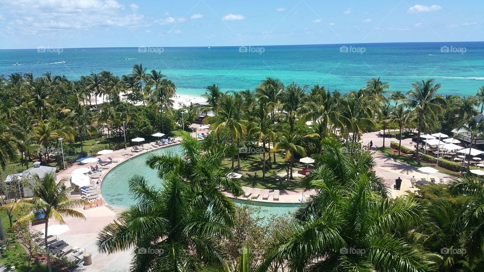 Palm, Resort, Beach, Tropical, Seashore
