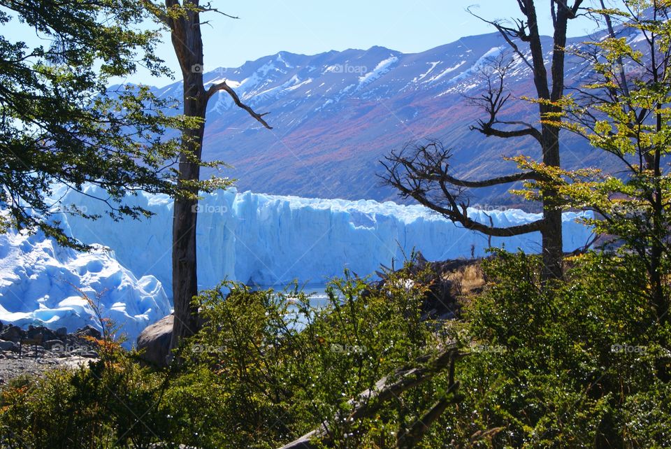 Argentina. Patagonia 