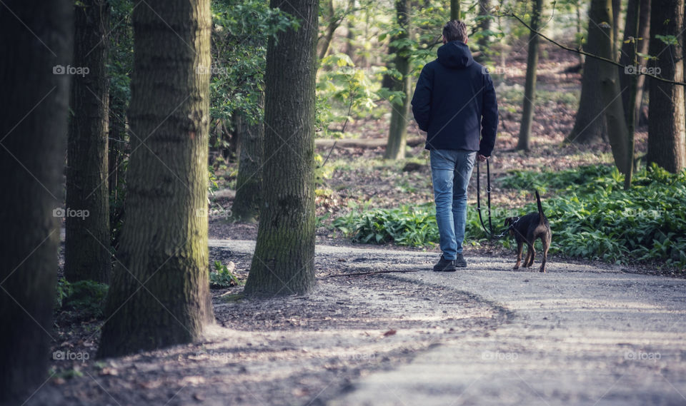 Walking a dog 